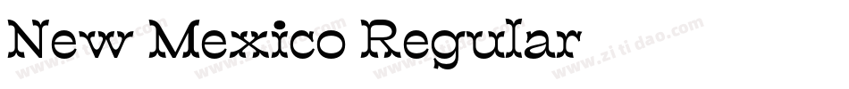 New Mexico Regular字体转换